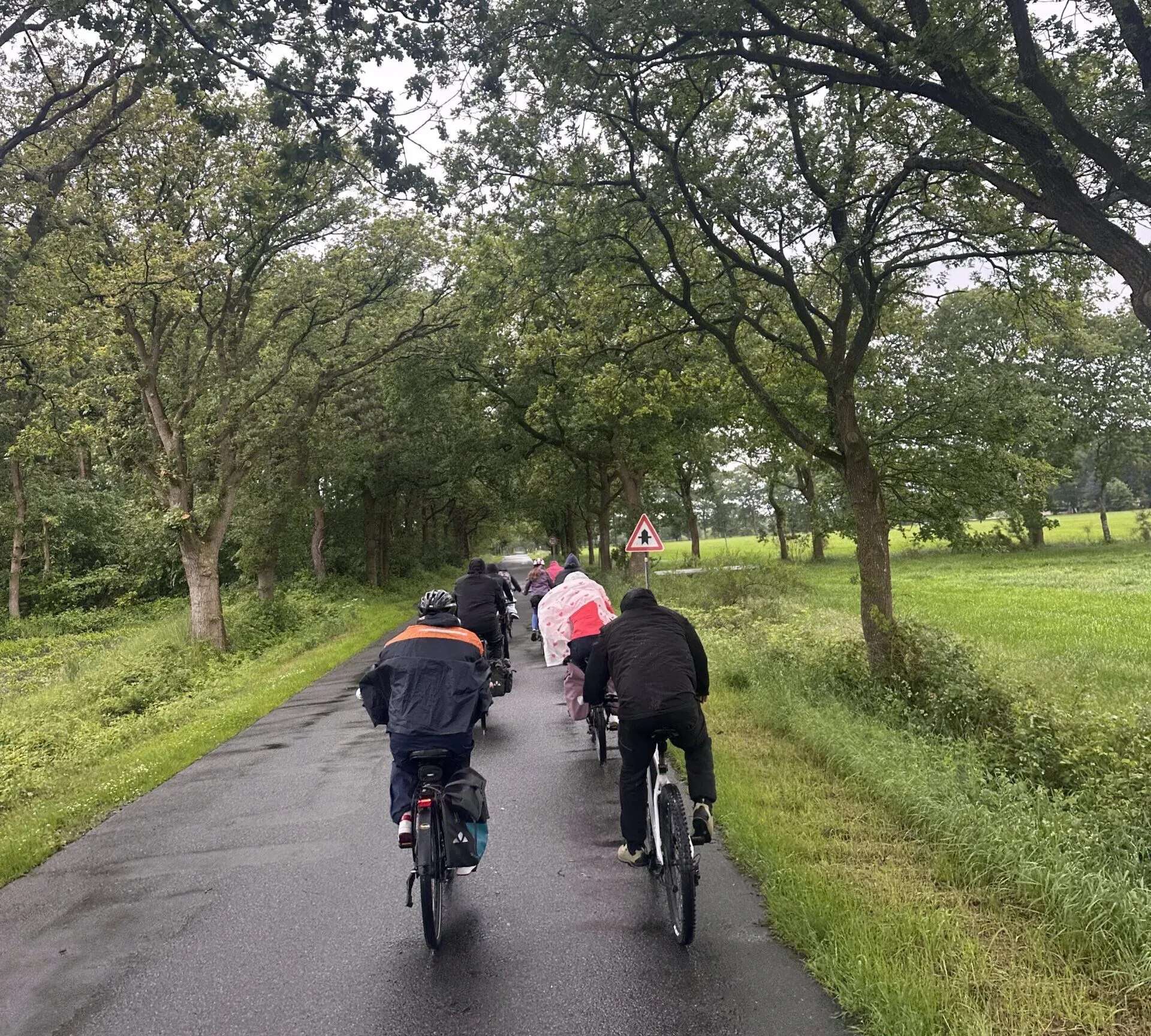 Radfahrerinnen und Radfahrer auf einem Weg zwischen Bäumen